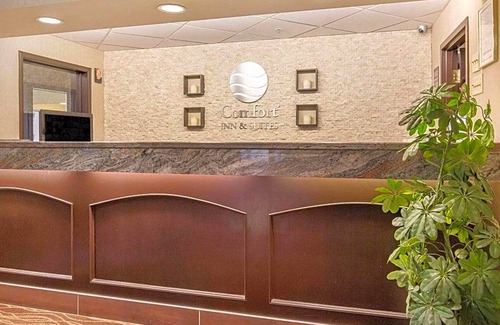 Banff Trail Hotel | 2-Star Hotel ∙ Comfort Inn and Suites University