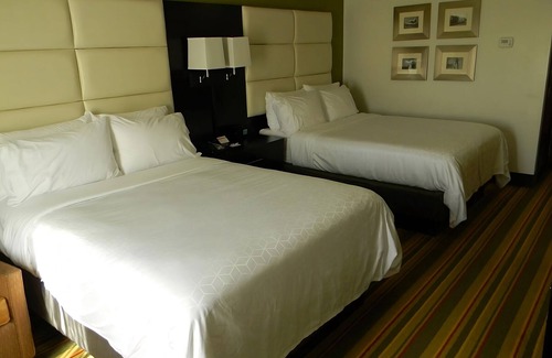 Madison House | 2 Stylish Units for Business Travel, Breakfast, Park