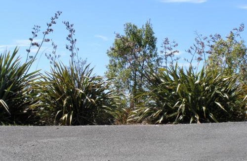 Tasman Bed & Breakfast | 2 Views at Tasman