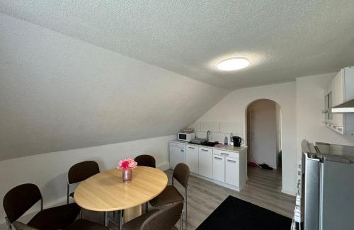 Erbach Apartment | 2 Zimmer DG Wohnung in Erbach