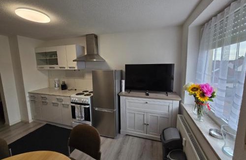 Erbach Apartment | 2 Zimmer DG Wohnung in Erbach