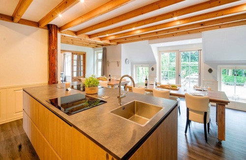 Noardburgum Other | 20 pax Farmhouse with sauna, hottub and pub