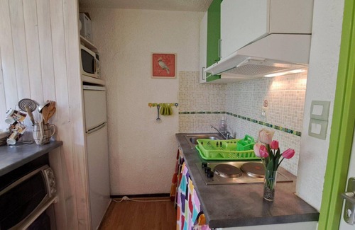 Pra Loup Apartment | 200m from resort center, floor -3, tv, 25m², Pra Loup