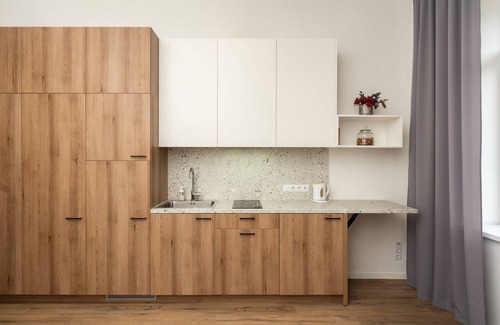 Vilnius Apartment | 216 VNO Airport apartments equipped for full life