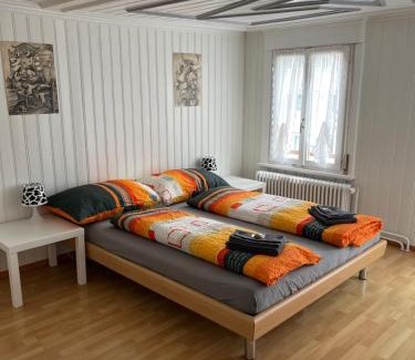 Haslen House | 22 - Gästehaus Erika - Hundwil - Appenzellerland