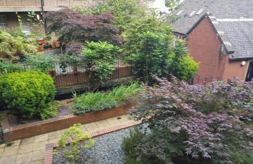 Laurieston Apartment | 223 Webster's land -stunning castle view