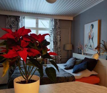 Kallio Apartment | 28 m² Apartment ∙ 1 bedroom ∙ 2 guests