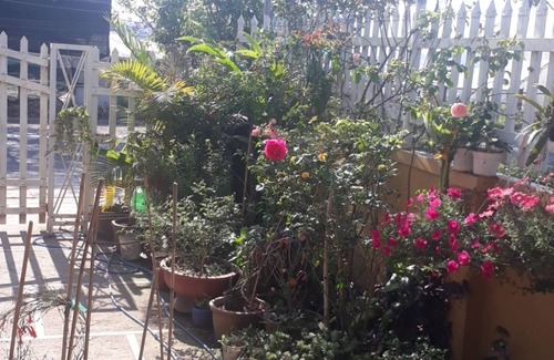 Phuong Villa | 288 Moka Homestay Tp Dalat Vietnam