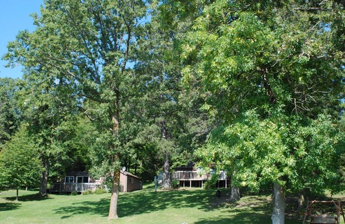 Nevis Cabin | 2BR Cabin Nestled in Towering Pines on a quiet lake. Pets accepted!