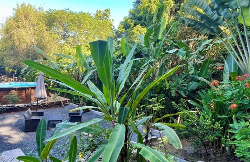 Cafeiere Cottage | 2Gites 800m from the beach private swimming pool in a tropical setting