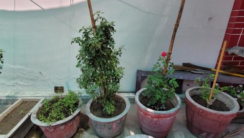 Jalandhar House | 2nd Floor Bedroom Homestay