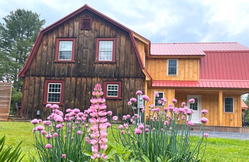 East Burke Cabin | 3 Bed Cabin - on NEK Biking and VAST Trails, Hot tub optional