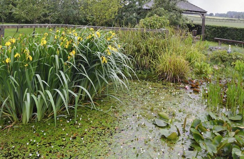 Low Catton Cottage | 3 bedroom accommodation in Holtby, near York