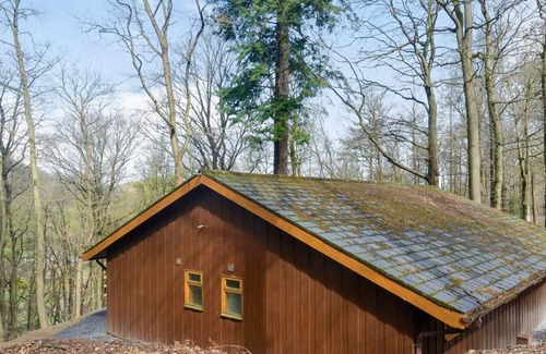 Garthmyl Cabin | 3 bedroom accommodation in Garthmyl, Montgomery