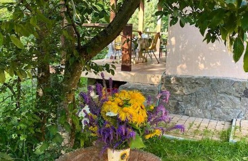 Kaputan Villa | 3 Bedroom House In The National Park of Dilijan