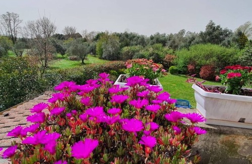 Campagnano di Roma House | 3 Bedroom Private vacation home in Campagnano di Roma