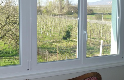 Eguisheim Apartment | 3-room apartment for 2/5 people on the edge of a vineyard