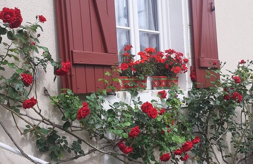 Druyes-les-Belles-Fontaines Apartment | 30 minutes from Guedelon and 2 hours from Paris