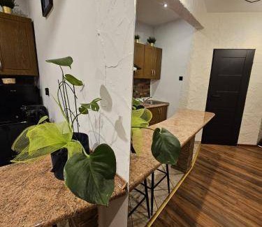 Sosnowiec Apartment | 30 m² Apartment ∙ 1 bedroom ∙ 4 guests