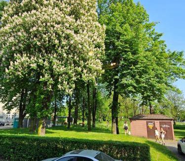 Sosnowiec Apartment | 30 m² Apartment ∙ 1 bedroom ∙ 4 guests