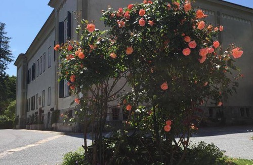 Geidorf Apartment | 34 m² Apartment ∙ 1 bedroom ∙ 3 guests