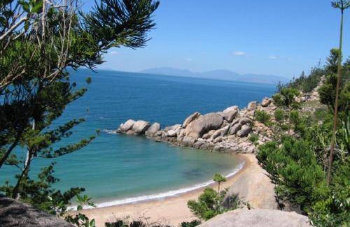 Nelly Bay Apartment | 35 m² Apartment ∙ 1 bedroom ∙ 2 guests