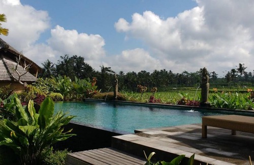 Payangan Hotel | 35 m² Hotel ∙ 4 guests