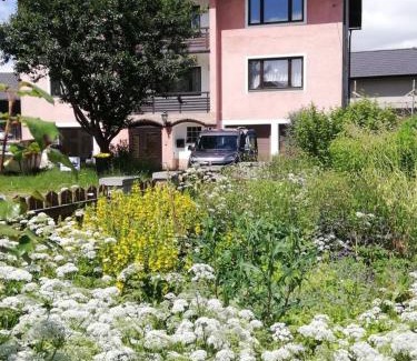 Großheinrichschlag Apartment | 3611 HAUS HABRUCK Top 1 D