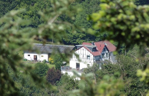 Waldbreitbach Apartment | 4-bed apartment - Holiday apartment Schäfer