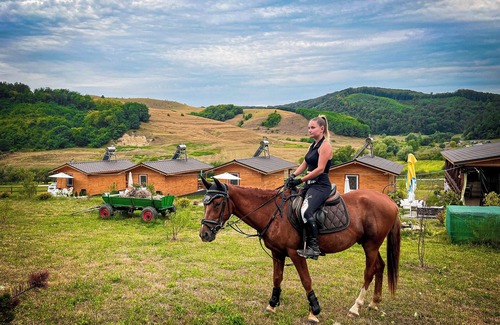 Hoghilag RV Rental | 4-bedroom campground in Prod, WiFi, AC. Happy camping forfamilies, pets, riding.