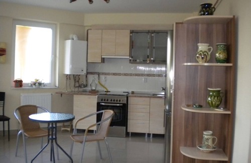 Olteni Condo | 4 BR Apartment with Panoramic Views of Olt & Ramnicu Valcea