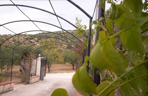 Sciacca House | 4 cottages in Sicily x16 people in Villa Angela
