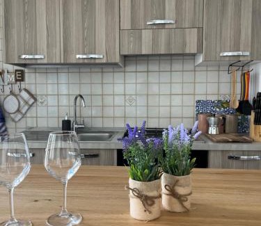 Ruggero Settimo Apartment | 4 Country Side - City Center