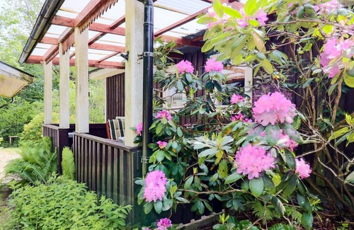 Drakabygget House | 4 person holiday home in ÖRKELLJUNGA