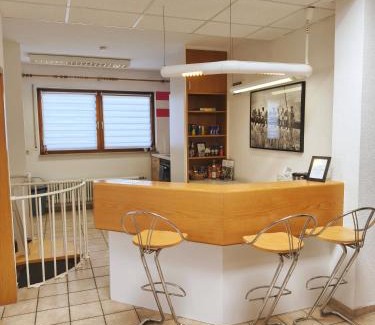 Spiegelberg Apartment | 4 Zimmer geräumige und ruhig gelegene Ferien- und Monteurwohnung nur für Sie allein AUjvari Vermietungen