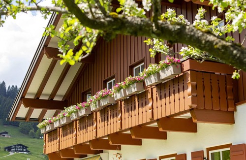Hirschegg Apartment | 40 m² Apartment ∙ 1 bedroom ∙ 2 guests