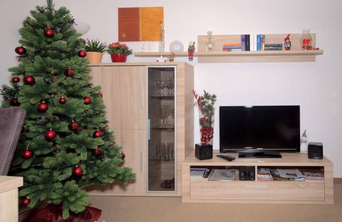 Ortsmitte Apartment | 44 m² Apartment ∙ 1 bedroom ∙ 3 guests
