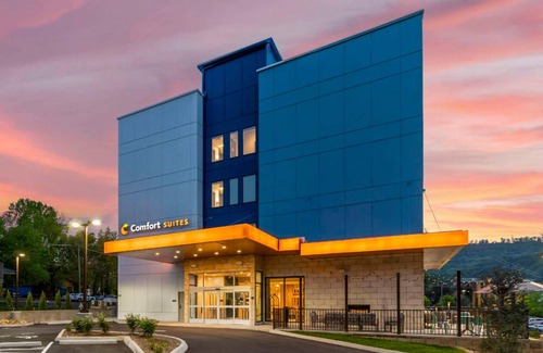 Gatlinburg Hotel | 46 m² Hotel ∙ 8 guests