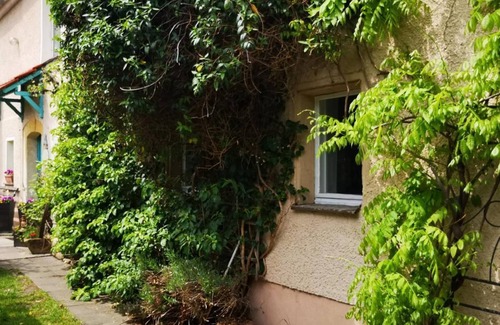 Glashuette Apartment | 49 m² Apartment ∙ 1 bedroom ∙ 4 guests