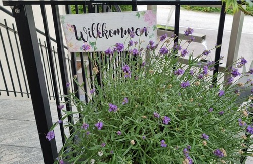 Velden am Worther See Apartment | 49 m² Apartment ∙ 1 bedroom ∙ 4 guests
