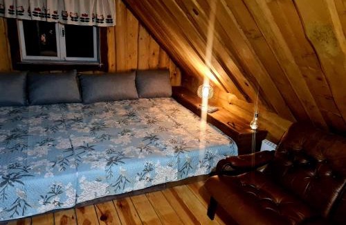Darsuniskis Villa | 4gilės