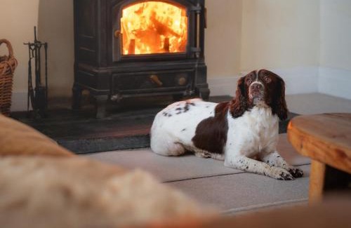 Stapleton House | 5 Bed in Aberystwyth 58889