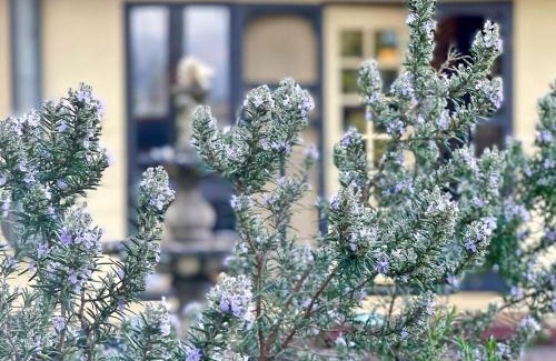 Croydon House | 5-Bed Secret Garden House