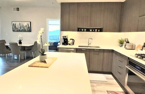 Burnaby Condo | 5 Star Luxury 2 Bed 2 Bath Condo in Brentwood