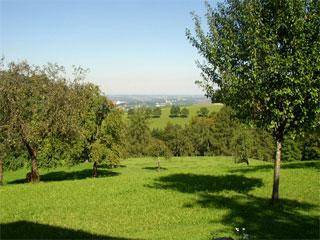 Altmuenster Apartment | 50 m² Apartment ∙ 1 bedroom ∙ 2 guests