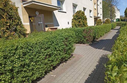 Pruszcz Gdanski Apartment | 52 m² Apartment ∙ 2 bedrooms ∙ 6 guests