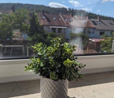 Scheidt Apartment | 52 m² Apartment ∙ 1 bedroom ∙ 3 guests