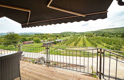 Sasbach am Kaiserstuhl Apartment | 55 m² Apartment ∙ 1 bedroom ∙ 2 guests