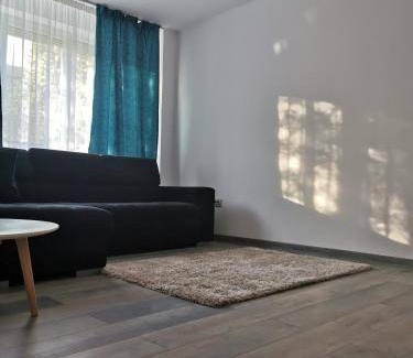 Braila Apartment | 55 m² Apartment ∙ 1 bedroom ∙ 4 guests