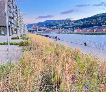 Ibarrekolanda Apartment | 59 m² Apartment ∙ 1 bedroom ∙ 3 guests